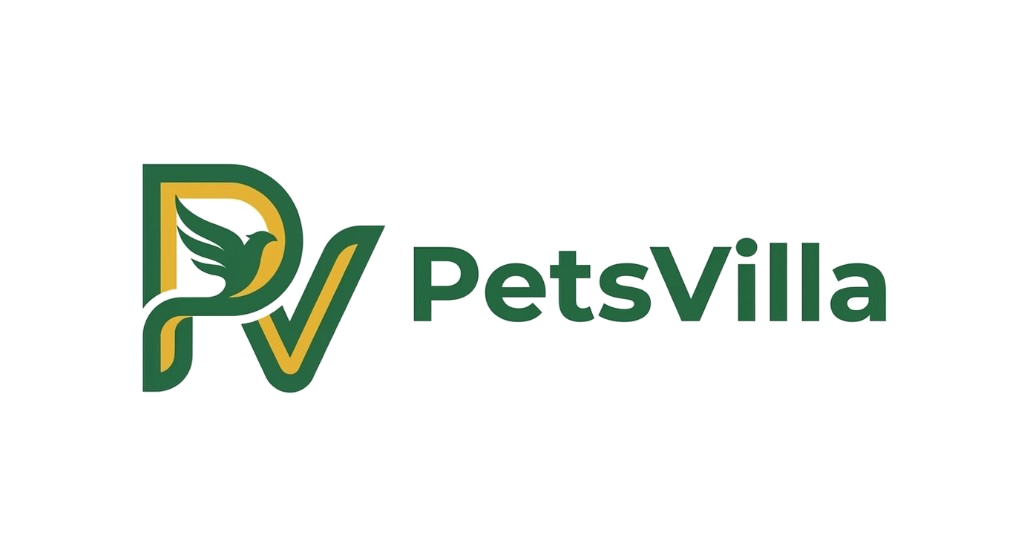PetsVilla logo